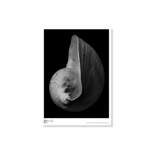 Poster - Closed, 2023 Michael Jalaru Torres