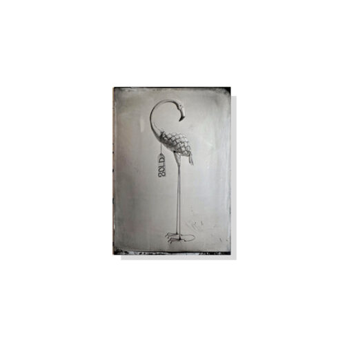 Card - Gift Card - Trevor Foon, Sold, 2023