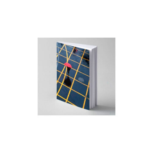 Book - BIFB Mass Isolation Project